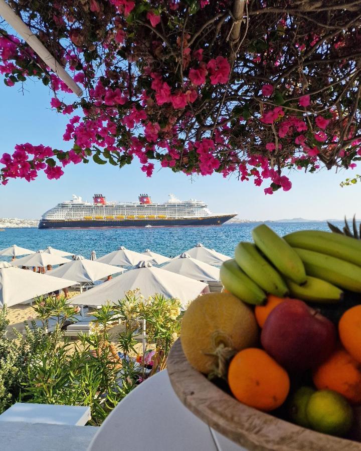 Sikate Hospitality Apartment Mykonos Town Екстериор снимка